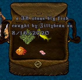 upload_2020-8-16_10-35-31.png