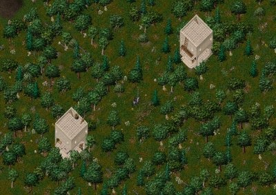 6nodefull.jpg