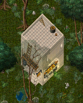 3nodejungle.png