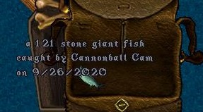 Cannonball Cam_Unknown_9-26_23.27.jpg