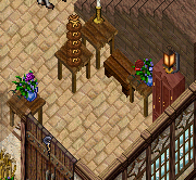 flowers-1.PNG