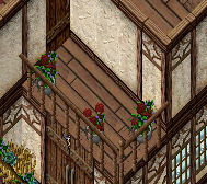 flowers-2.PNG