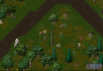 Moonglow Spot.jpg