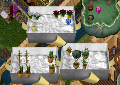 plants.PNG