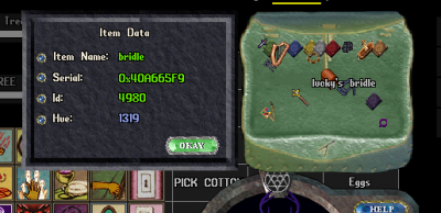 bridle.PNG