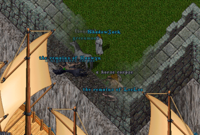 sw.png