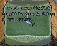 Fish#8.jpg
