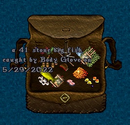 BodyGlove5.jpg