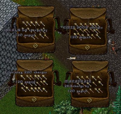 Wands Auction.jpg