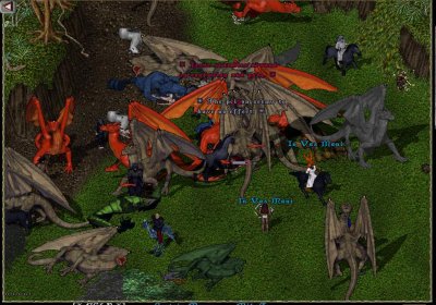 t3.jpg
