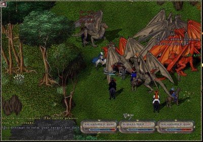 t4.jpg