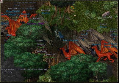 t5.jpg