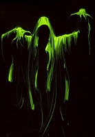 HalfDead
